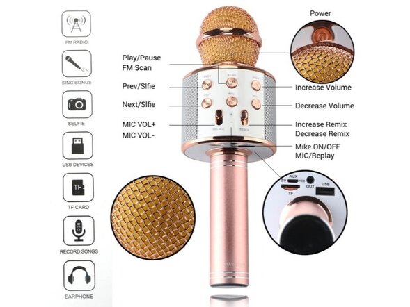 Микрофон-караоке WSTER WS-858